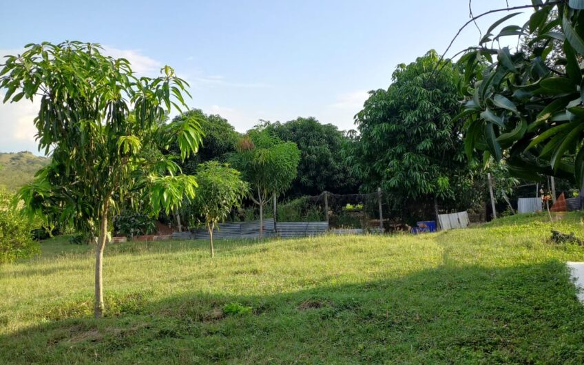 🌿🏡 VENTA DE EXCLUSIVA CASA CAMPESTRE – PALERMO, HUILA 🌿