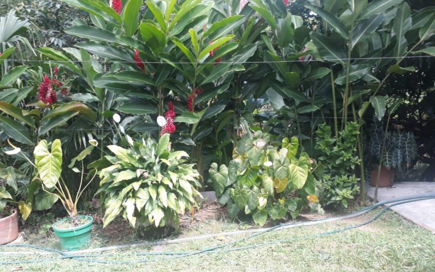 Exclusiva propiedad campestre en La Ulloa – Red Inmobiliaria Neiva ❤️🖤