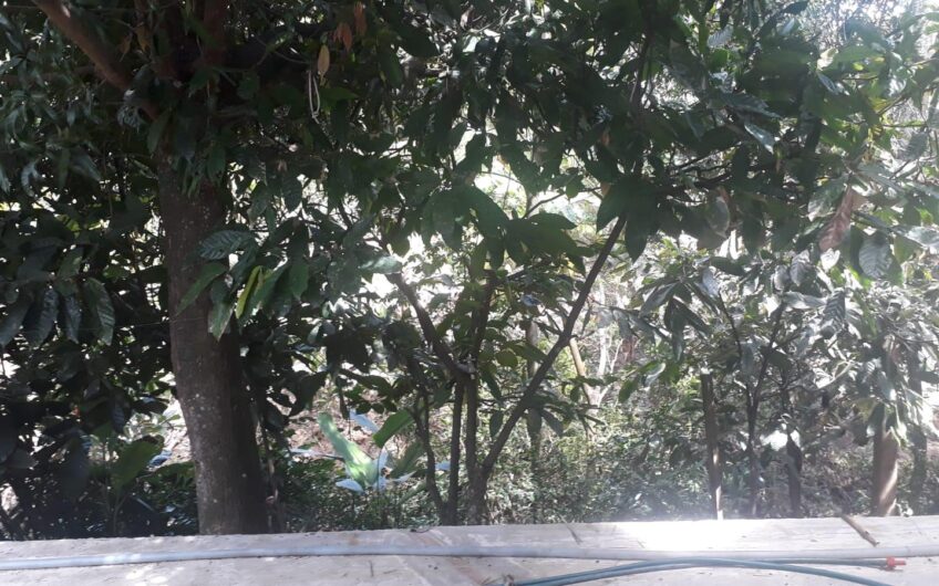 Exclusiva propiedad campestre en La Ulloa – Red Inmobiliaria Neiva ❤️🖤