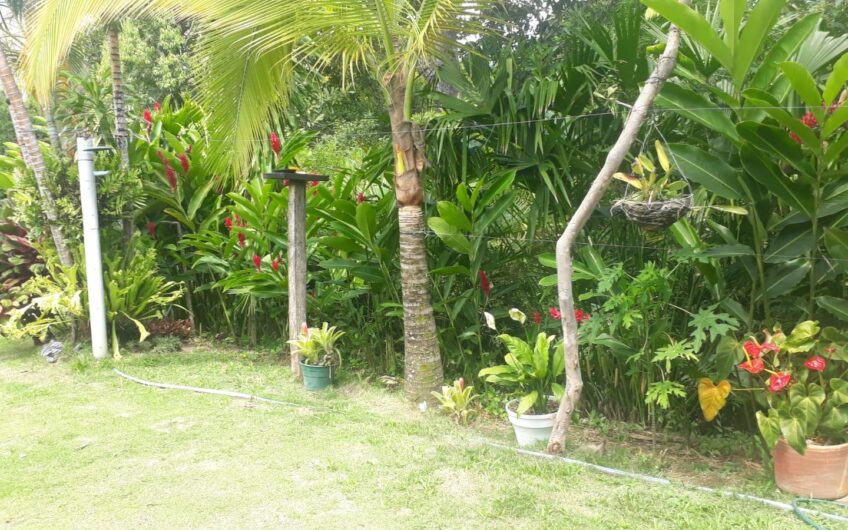 Exclusiva propiedad campestre en La Ulloa – Red Inmobiliaria Neiva ❤️🖤