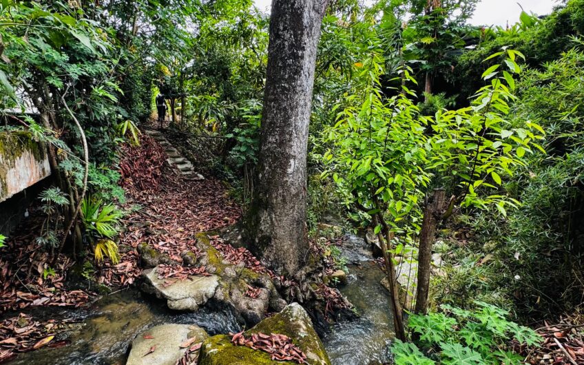 Exclusiva propiedad campestre en La Ulloa – Red Inmobiliaria Neiva ❤️🖤