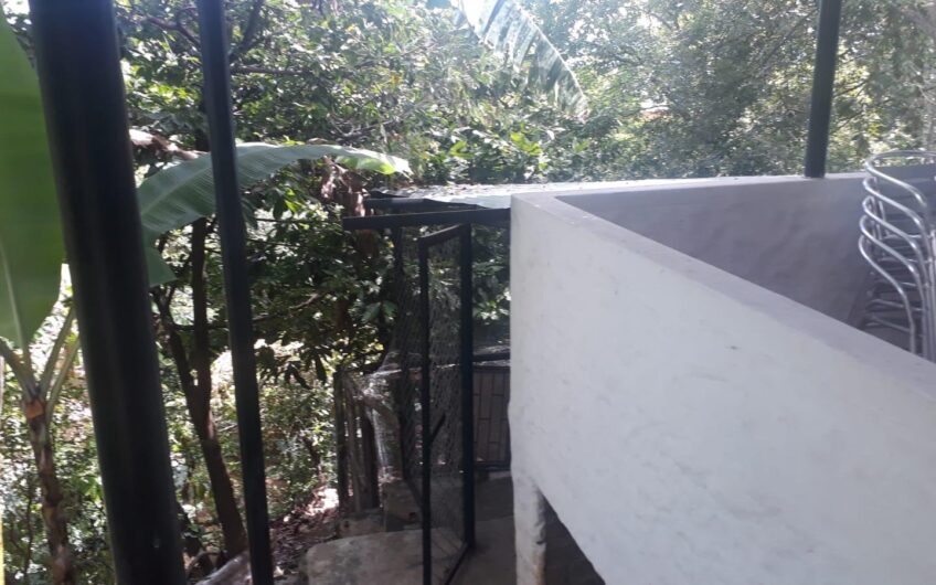 Exclusiva propiedad campestre en La Ulloa – Red Inmobiliaria Neiva ❤️🖤