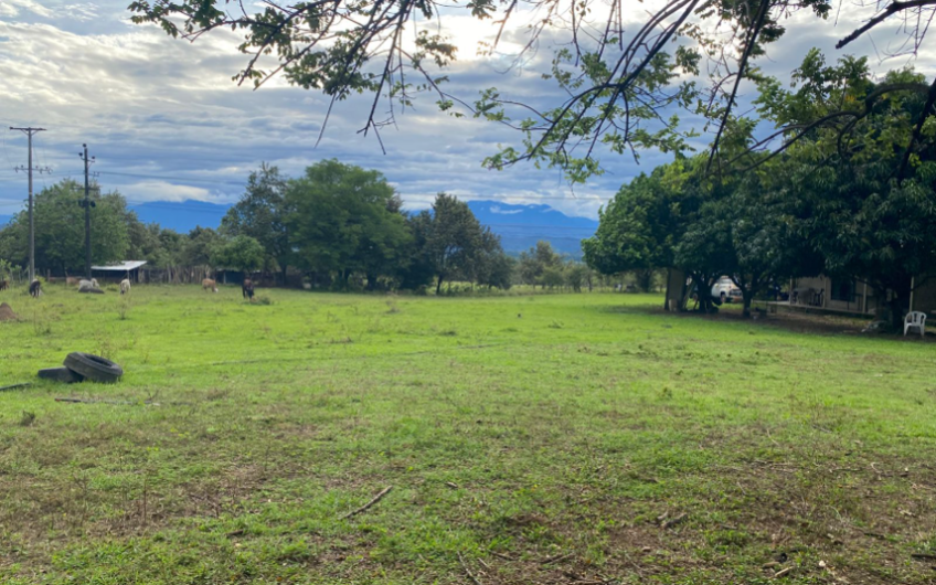 ESPECTACULAR FINCA EN VENTA – GRAN PROYECTO DE INVERSIÓN EN CAMPOALEGRE, HUILA