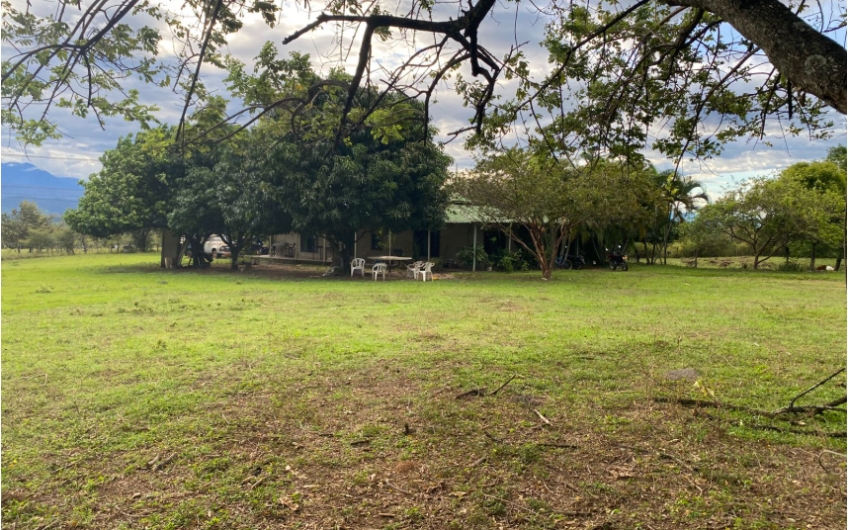 ESPECTACULAR FINCA EN VENTA – GRAN PROYECTO DE INVERSIÓN EN CAMPOALEGRE, HUILA