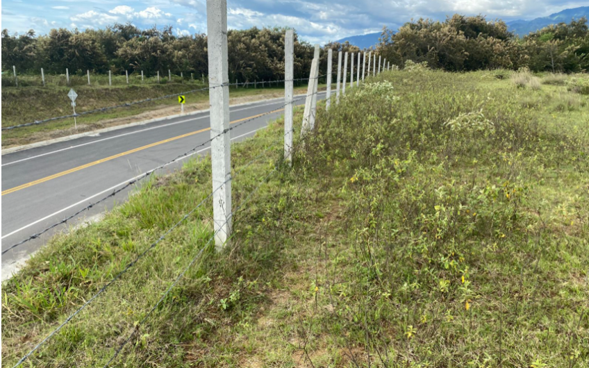 ESPECTACULAR FINCA EN VENTA – GRAN PROYECTO DE INVERSIÓN EN CAMPOALEGRE, HUILA