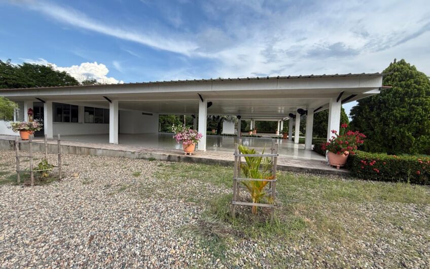 🌿 LOTES EN VENTA EN SAN SEBASTIÁN – PALERMO, HUILA 🌿