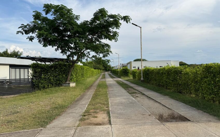 🌿 LOTES EN VENTA EN SAN SEBASTIÁN – PALERMO, HUILA 🌿
