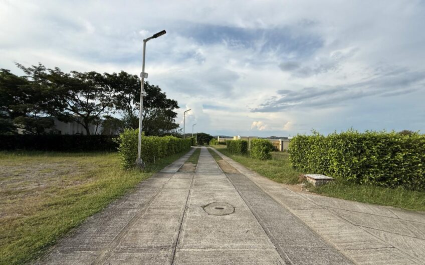 🌿 LOTES EN VENTA EN SAN SEBASTIÁN – PALERMO, HUILA 🌿