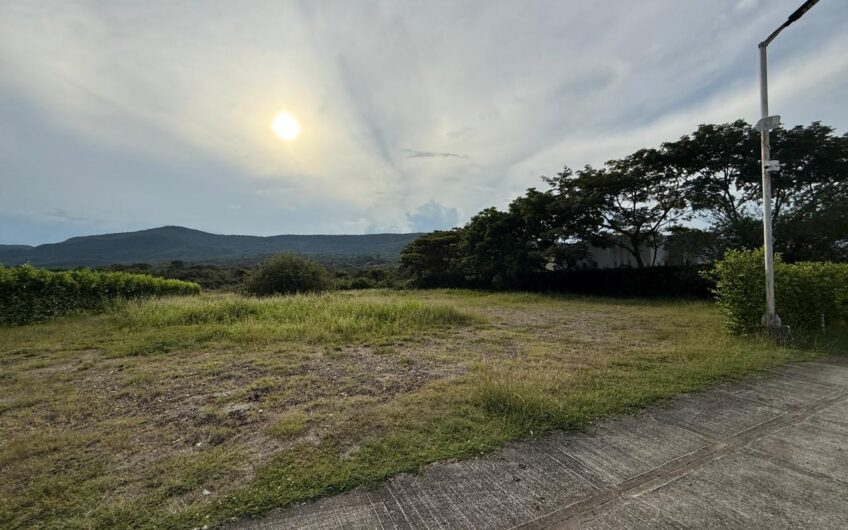🌿 LOTES EN VENTA EN SAN SEBASTIÁN – PALERMO, HUILA 🌿