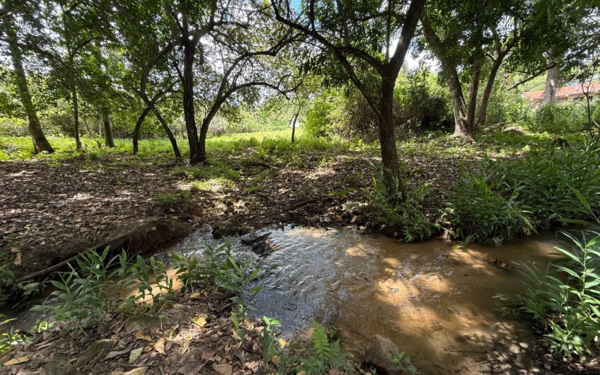 🏡✨ OPORTUNIDAD DE INVERSIÓN EN RIVERA, HUILA ✨🏡