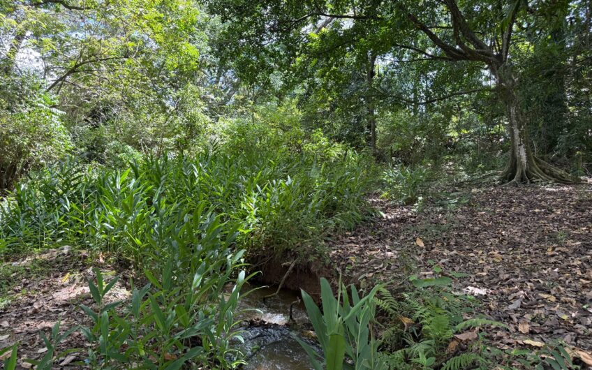 🏡✨ OPORTUNIDAD DE INVERSIÓN EN RIVERA, HUILA ✨🏡