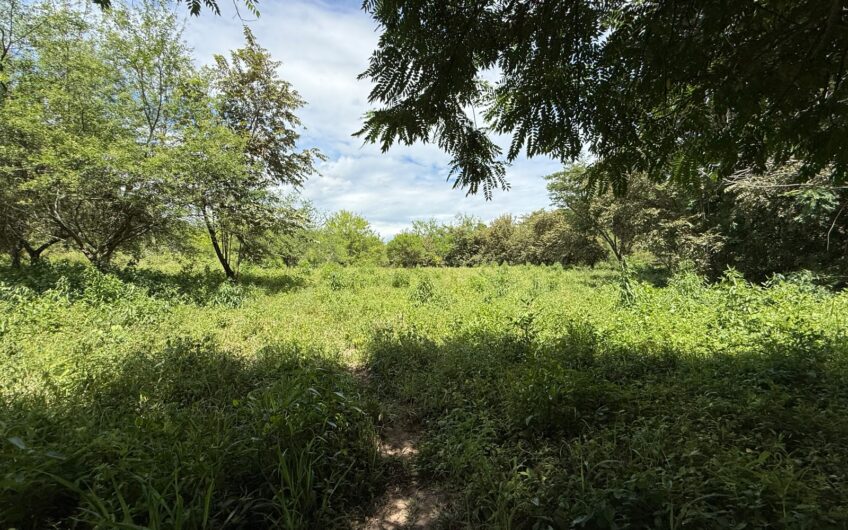 🏡✨ OPORTUNIDAD DE INVERSIÓN EN RIVERA, HUILA ✨🏡