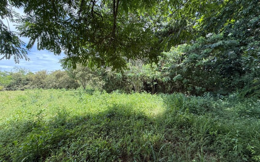 🏡✨ OPORTUNIDAD DE INVERSIÓN EN RIVERA, HUILA ✨🏡