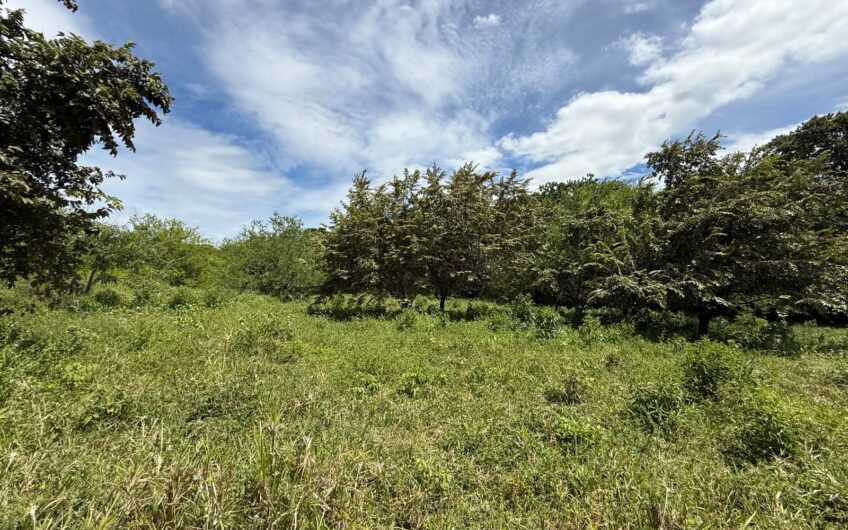 🏡✨ OPORTUNIDAD DE INVERSIÓN EN RIVERA, HUILA ✨🏡