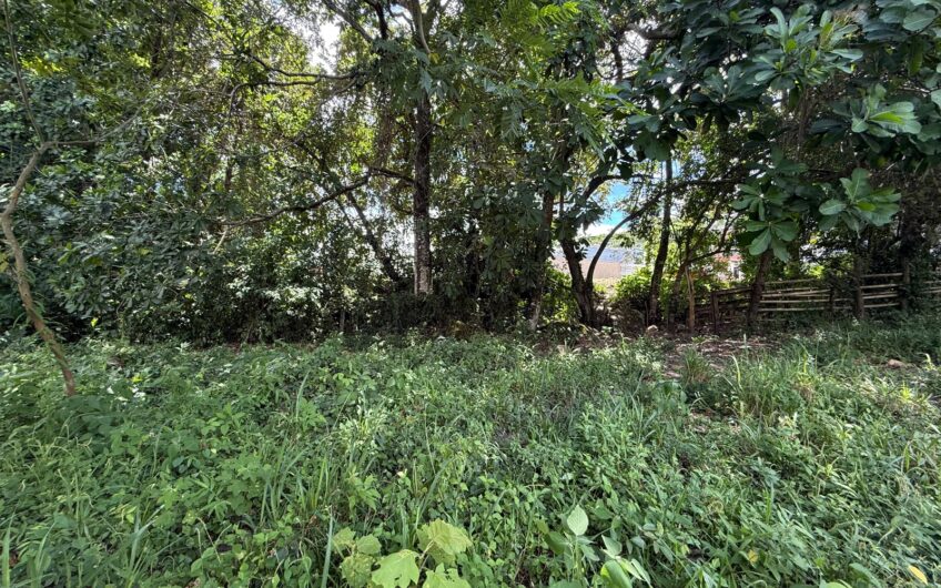 🏡✨ OPORTUNIDAD DE INVERSIÓN EN RIVERA, HUILA ✨🏡