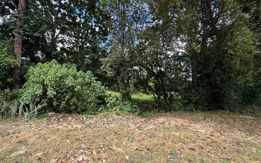 🏡✨ OPORTUNIDAD DE INVERSIÓN EN RIVERA, HUILA ✨🏡