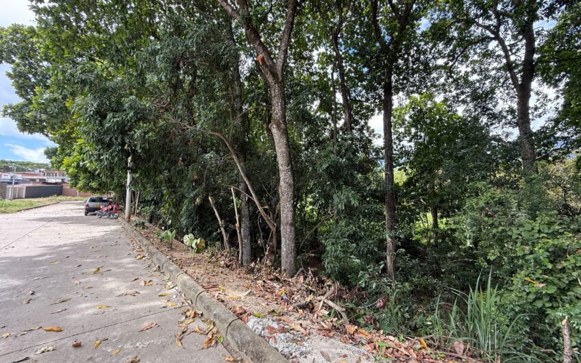 🏡✨ OPORTUNIDAD DE INVERSIÓN EN RIVERA, HUILA ✨🏡